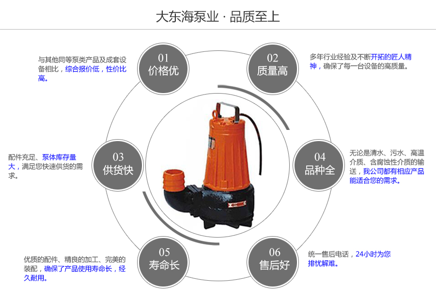 大東海泵業(yè)撕裂式潛水泵質量保證圖