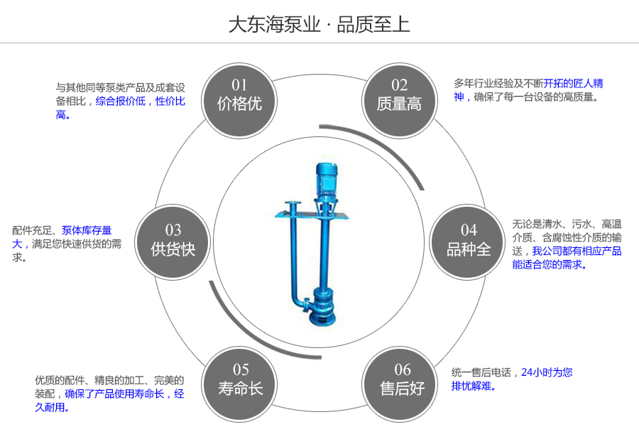 大東海泵業液下排污泵質量保證圖