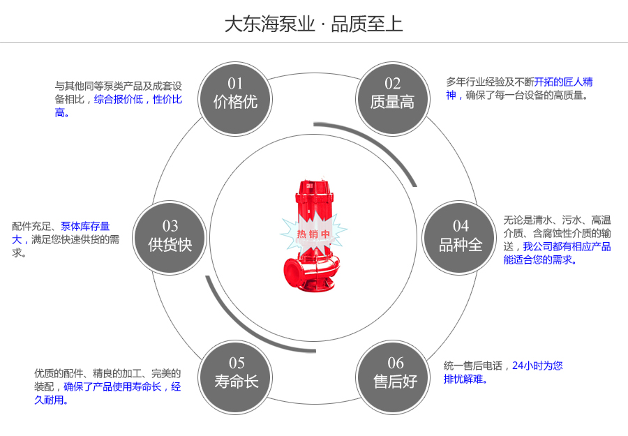 大東海泵業耐高溫排污泵質量保證圖