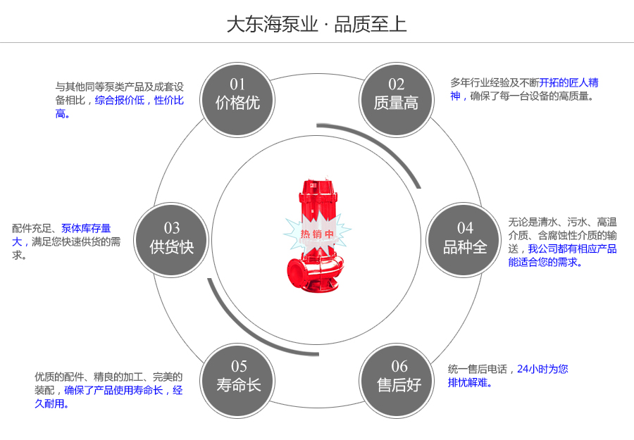 大東海泵業耐高溫污水泵質量保證圖